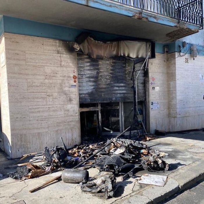 115435210-fef25351-8f43-431e-9e79-cb918083024b