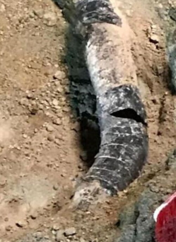 134907871-f60402d2-fc4a-48e8-a9a9-27145535a3da