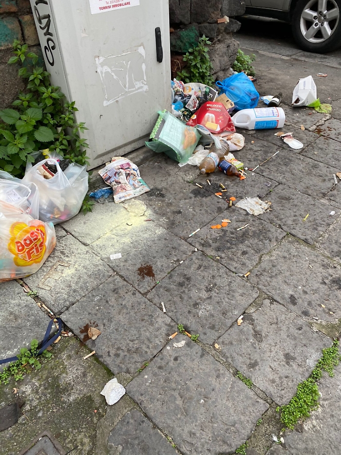 155700846-e4aa8ea1-cc87-4c1c-adf6-80b7216fa6eb