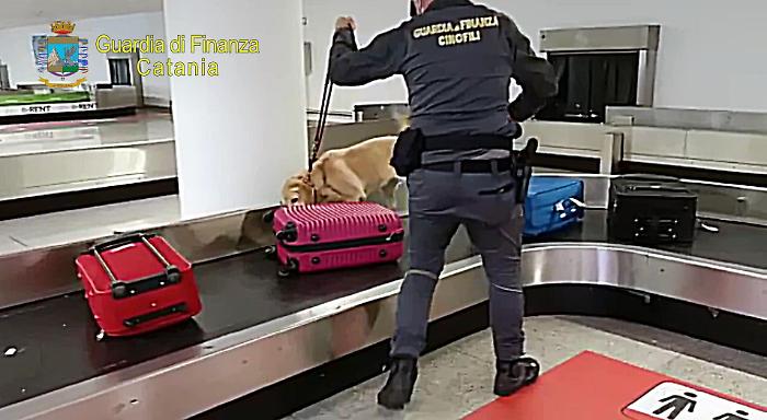 102616676-d397273c-df5f-4240-859e-589c3fe36017