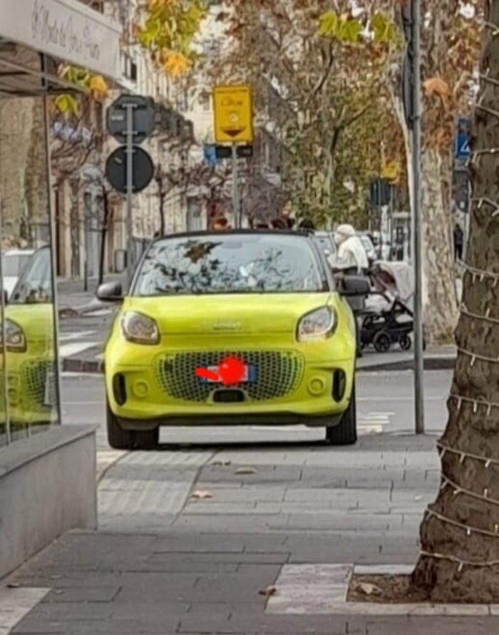 163132416-97aa8aa7-fd51-4a4e-82e6-e5ad33fbe7da