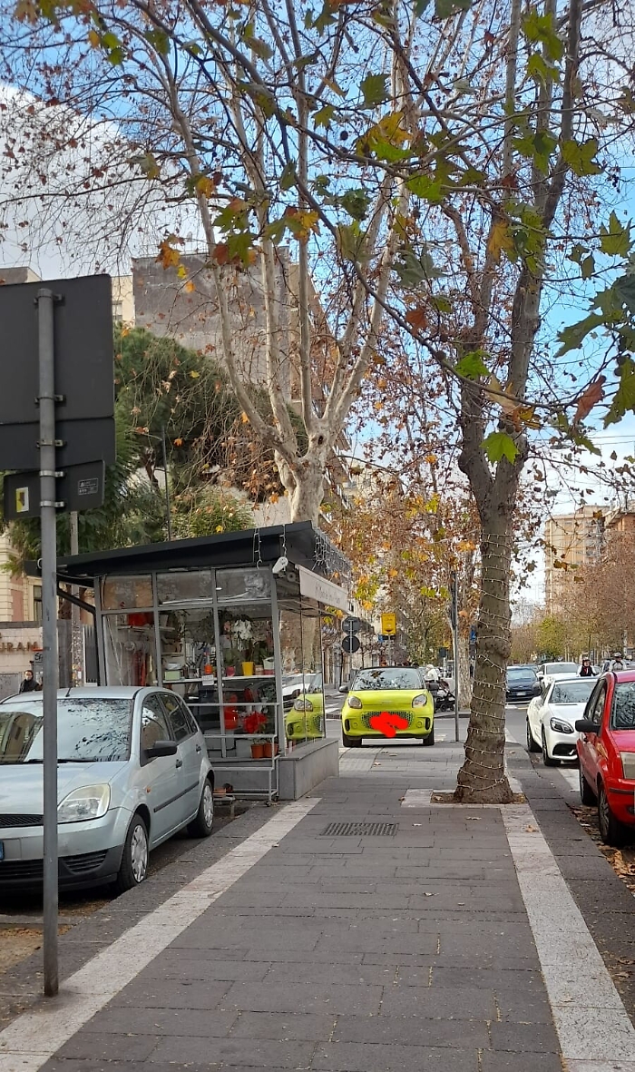 163134446-81316368-0ec7-4f65-a3f1-e3bf4589209c