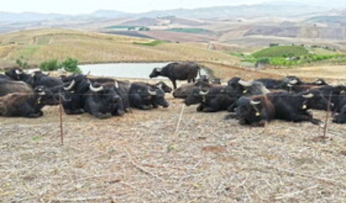 163346338-5b91bd1c-5525-4a6a-ac9d-41d44313ed1a