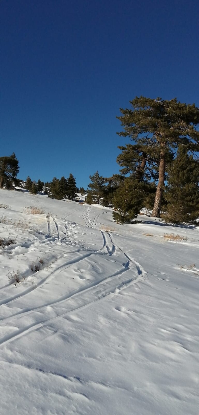 185433049-b1a611b2-3990-41f7-be70-df90aba6bd33