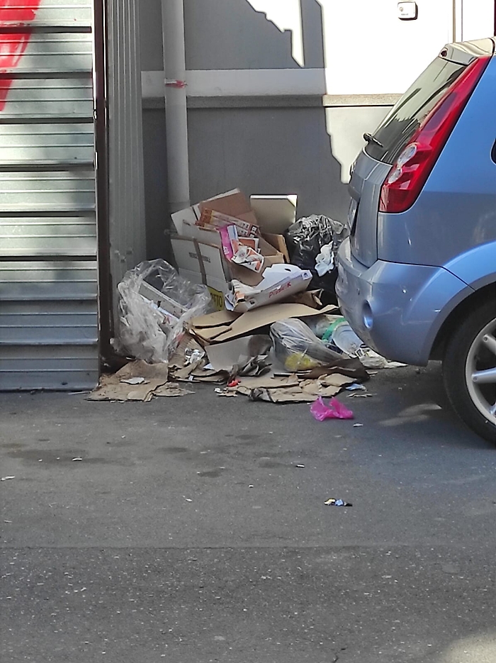 155355268-23ff91d2-31fe-4a28-9bee-5211acbe3d01