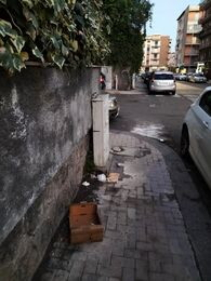 172717718-4bedc8cc-964a-4a09-8b10-5ddd34ce6273