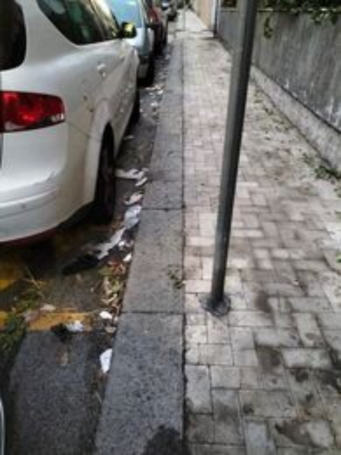 172717731-4e0aaf10-ceaa-44d5-8c52-84f14f64c5e8