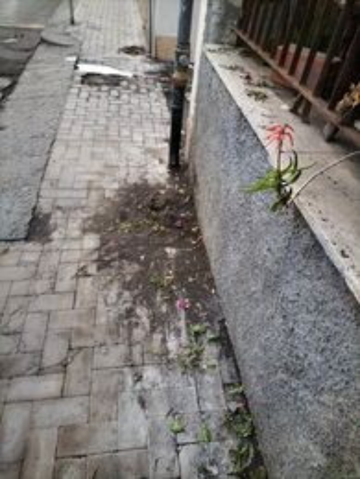 172717765-3912028a-fd9f-41a0-a0b2-800b9fa231c5