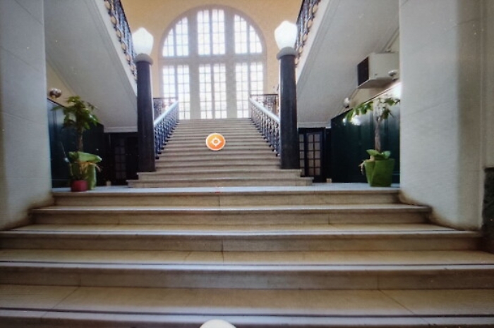 170902501-d28fe733-9611-411d-9338-6c202c277378