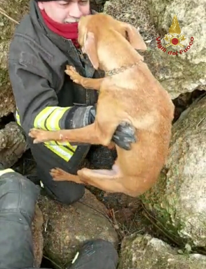 152707143-98f244a1-4582-4cb6-9532-989c5d624fda