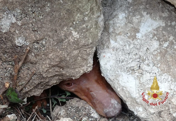 152813082-a4bb29c2-7a6a-4f18-bb11-a4fadb7d2062