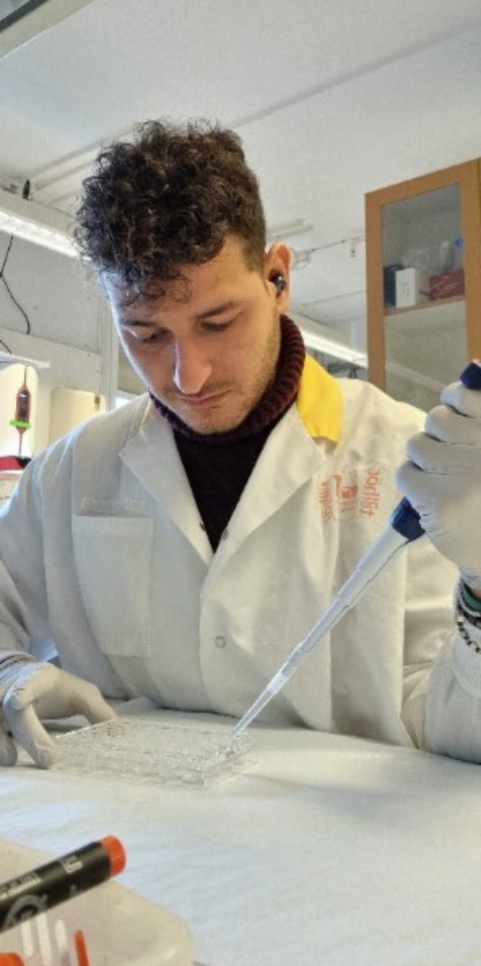 210925784-7dca5d2f-20d8-44cf-92e4-7aeac9083d06