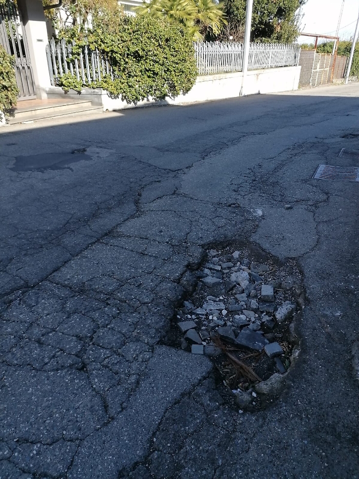 162932196-99aca1d2-9faf-4501-887d-77a6421edf39