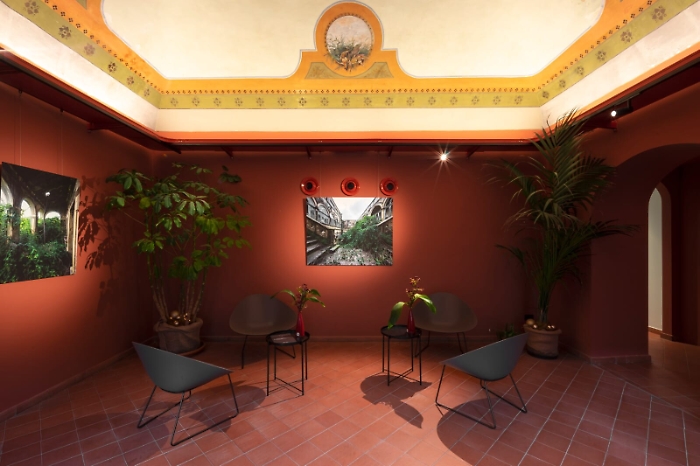 163702891-8aada6f0-a923-4888-8842-1a74647b82a0