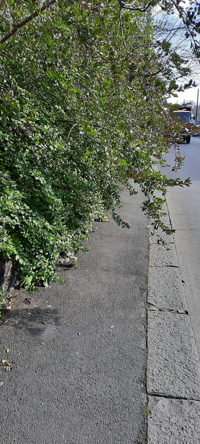 165045410-d45162b5-44fd-46cf-8f9c-27bf22857e27