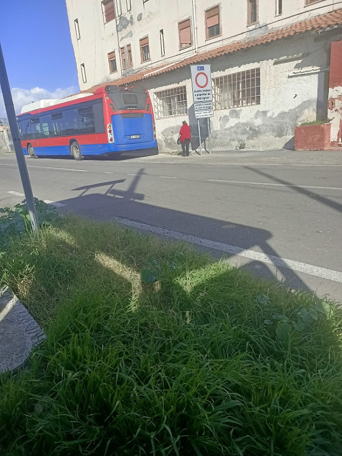 182551717-421c14ec-2373-42b1-97ae-5aeeb94b9143