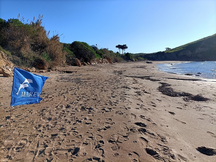 190238035-272c054f-a8b7-4471-9fa1-de19b54f5bfb