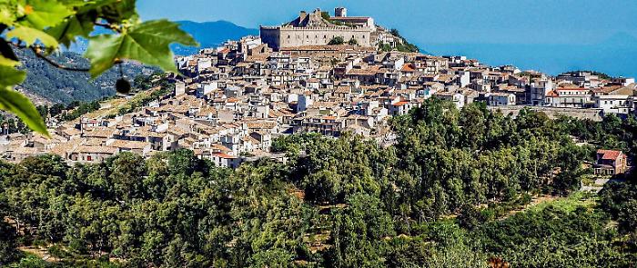 202613609-351d87a8-056b-4d7f-8b26-1ba6c6e8e9cf