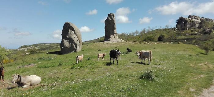 202937158-d7ce4a57-37ff-4ef0-919f-dd6f27c37859