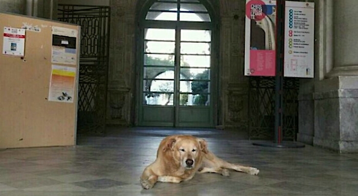 184206105-eabf611c-72e6-4687-8041-b4fc87baee0e