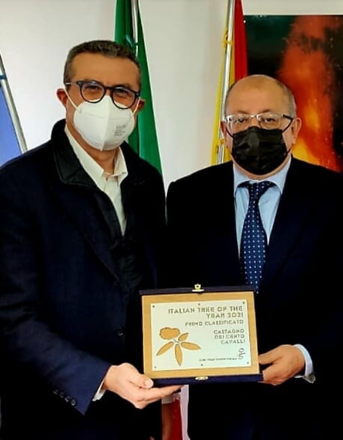 154708608-2418a93a-b8ae-419e-95c3-652202e758fb