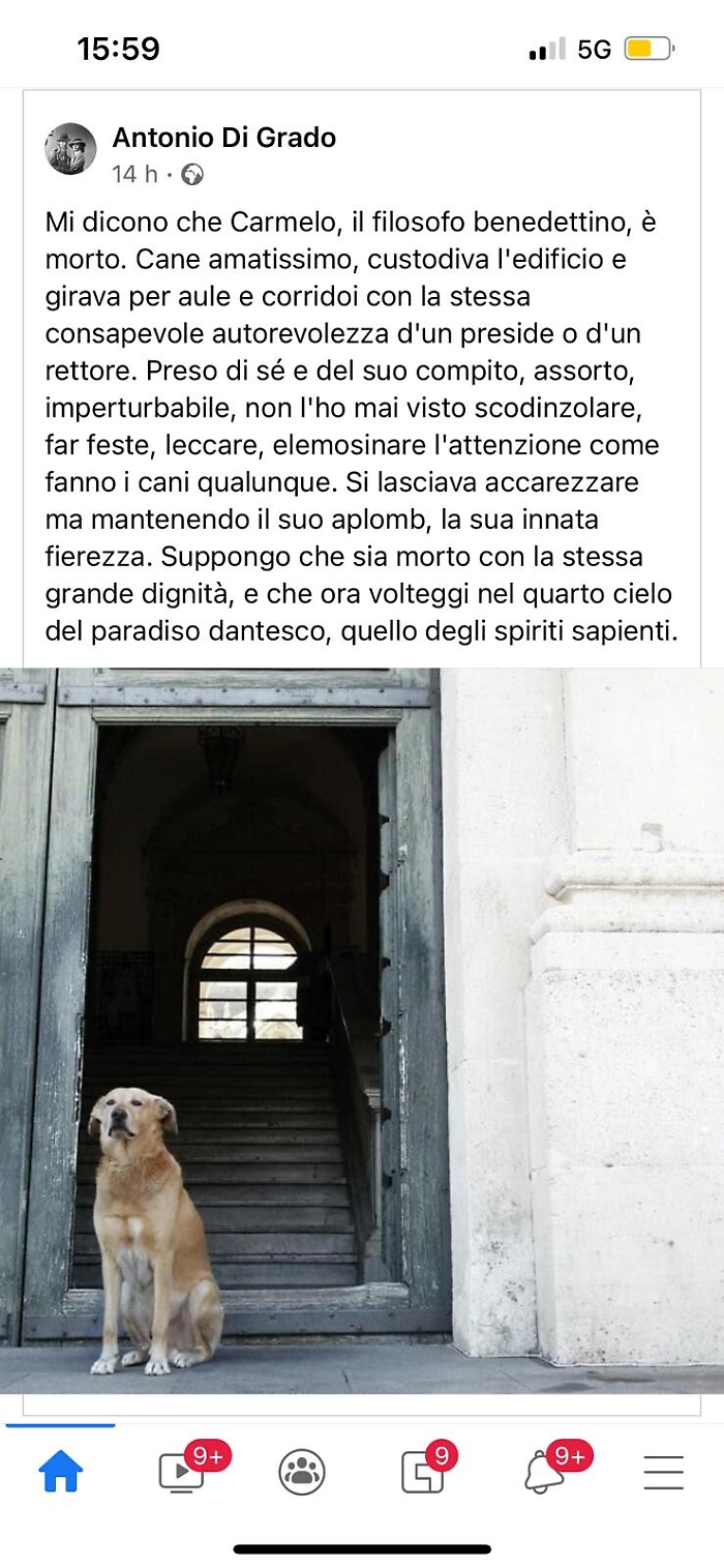 172617161-cefa1aec-6d4c-493f-962f-1c971e54bc3b