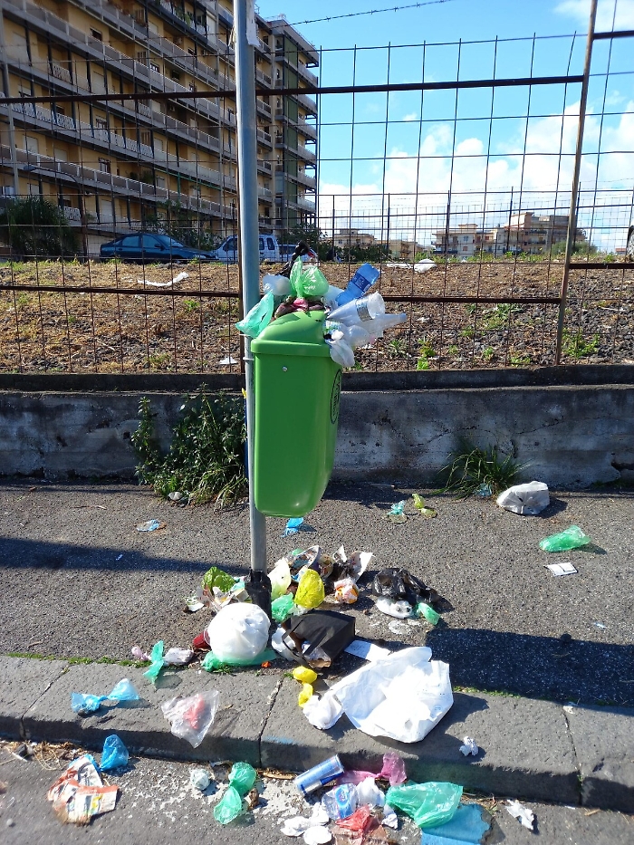 171534433-cb0b50fa-5dd8-4cff-aa53-0c7b03d4f909