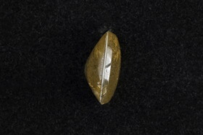 152950827-0e560af9-c36c-4df4-aba8-2d8b720ca564