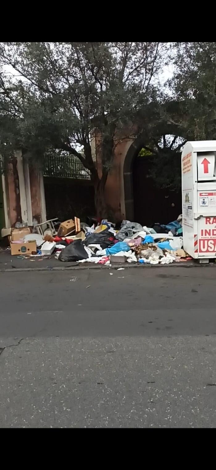 110850083-54a50cd8-527a-4f0b-b8ca-600e6982ebeb