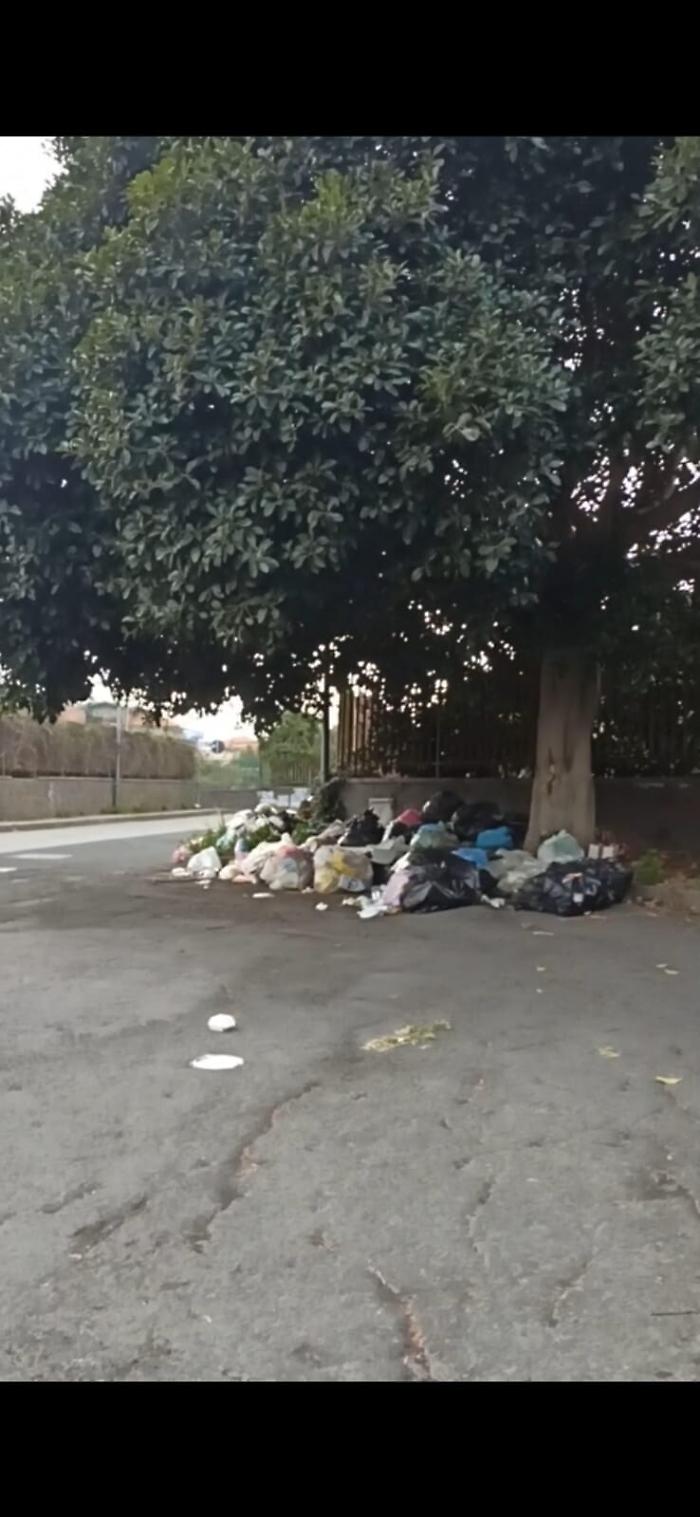 110850618-e8c541ab-a98f-494a-8dd4-43c31f6b19fa