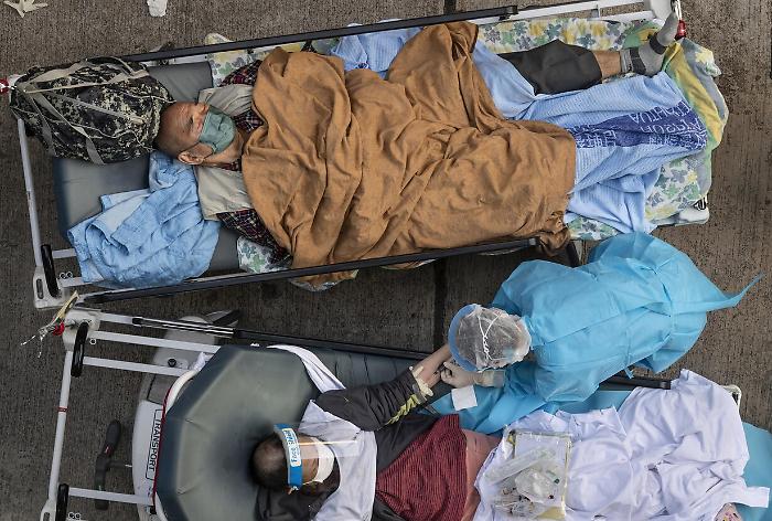 140951880-96203a80-b6db-4615-a4c1-cea4fd4758e3