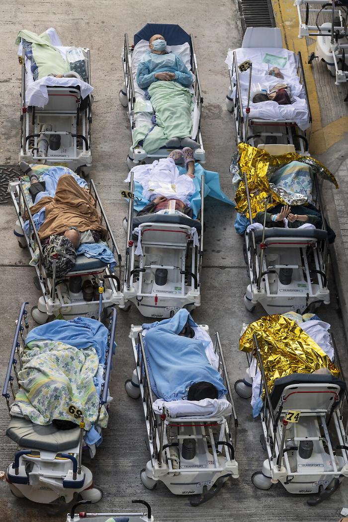 140952916-da0ebb59-3f10-42fe-886f-17feb7398c45