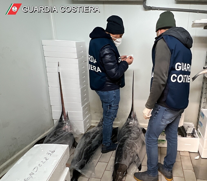 113601211-68696380-3aa7-4edb-b202-b5f5a4526bc7