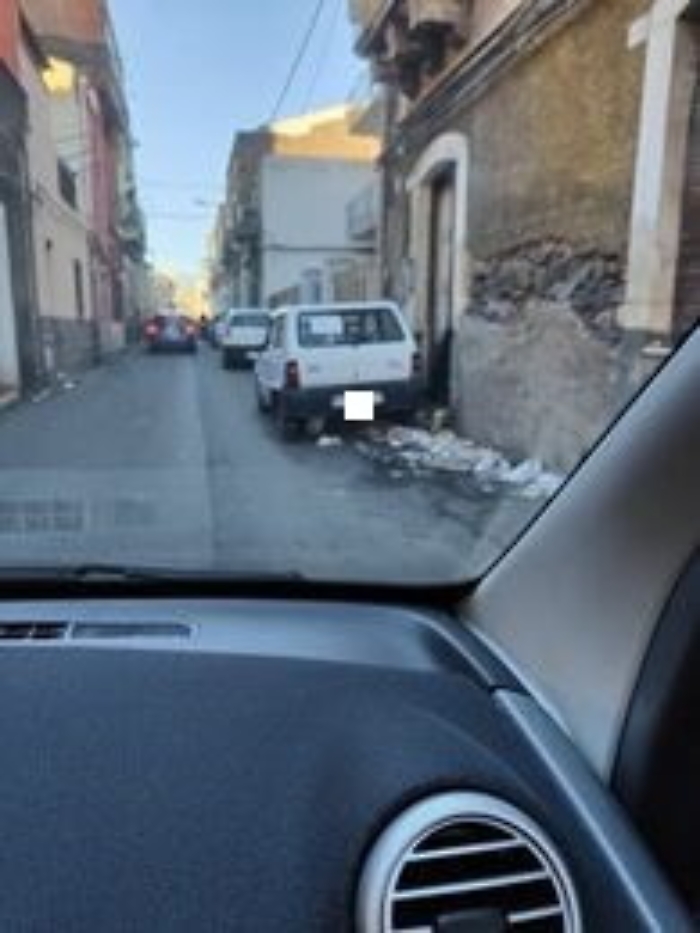 164736294-7f7865bb-6482-49ec-9df7-2f6d9211a09f