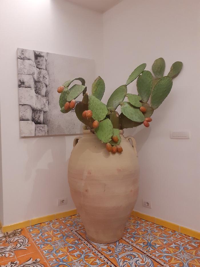 160042982-1049ad09-36de-4403-a764-7d7c957d87b4