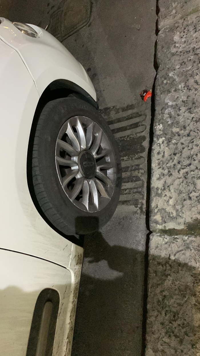 182338501-fdb56d4c-c9b5-4ab7-b6a9-0933648966d6