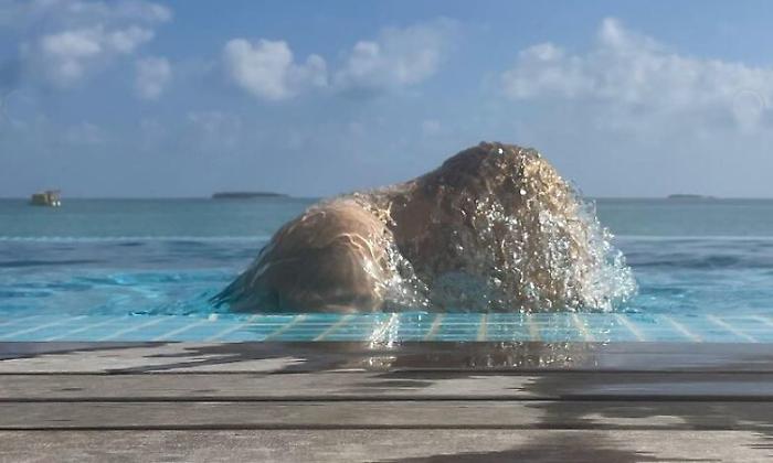 140833278-7187e1d3-d436-48db-a663-2d082c7e8fd4