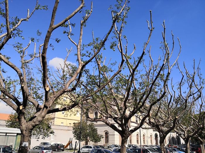 155922321-1ccc66ed-52ba-42cf-a04f-a4016738bdff