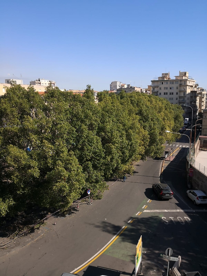 155922326-4a03ed11-35cd-4a48-ba40-0bb3d215fc23