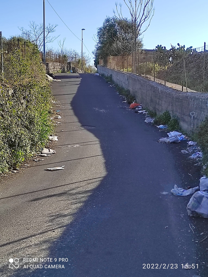 161611314-2b6a0676-f89c-4726-b978-e454ed166f95