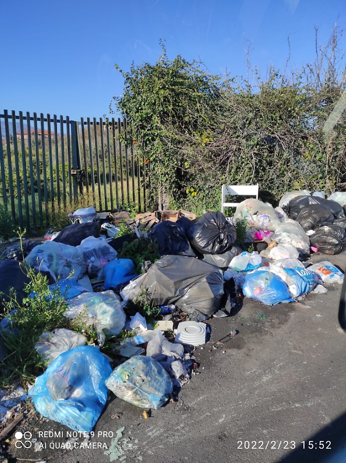 161616200-faf7b416-eb91-4664-aeab-fea1d86a4bf6