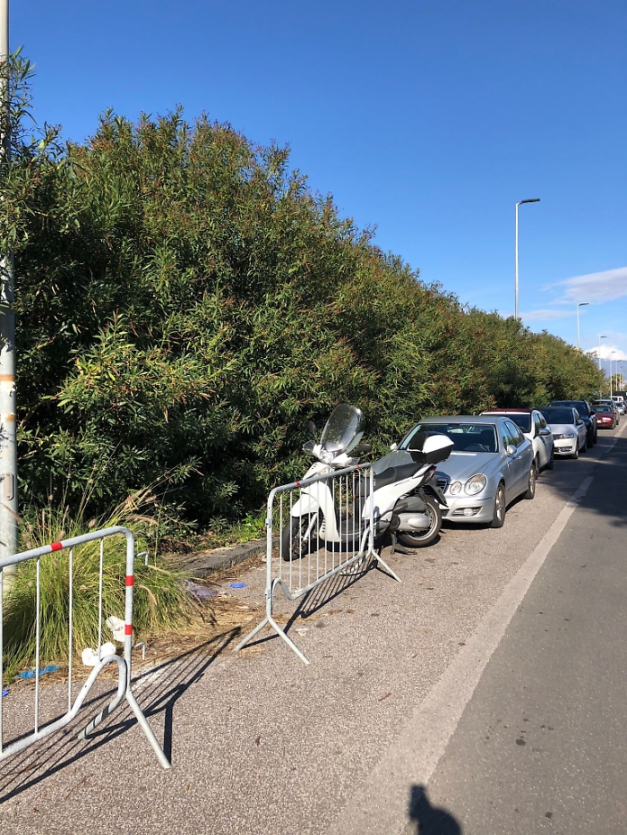 161122170-bcc8ea2f-62fd-47bb-922f-4dc907c1b728