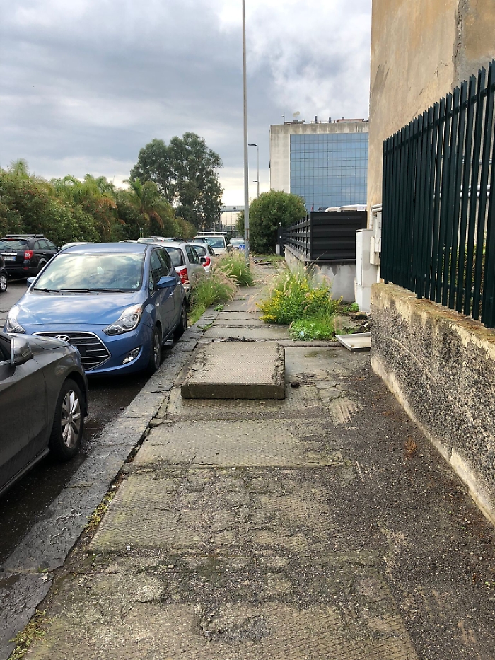 161124971-b9b1ec76-b460-4775-a22a-19cb04e191ec