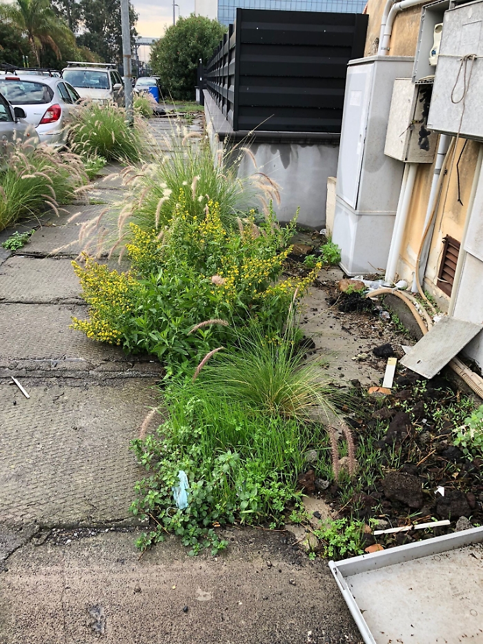 161318523-58b1ed53-f185-4671-adf8-a3741ee21138