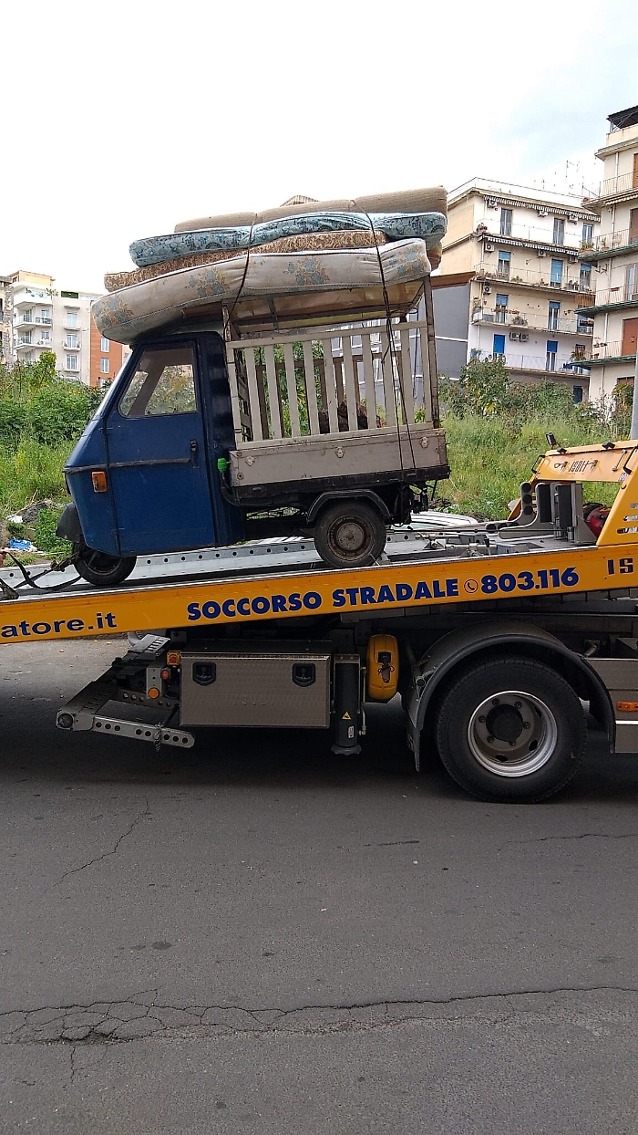 174259705-6cf2a821-4124-403b-9171-30610094d912