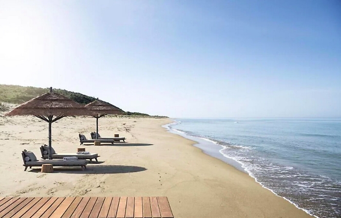 110334269-ced5ace5-4718-475e-9ff1-94221c19c33a