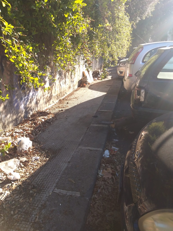 161725012-b4a59633-55b8-4a6e-9088-89a08b5e52c9