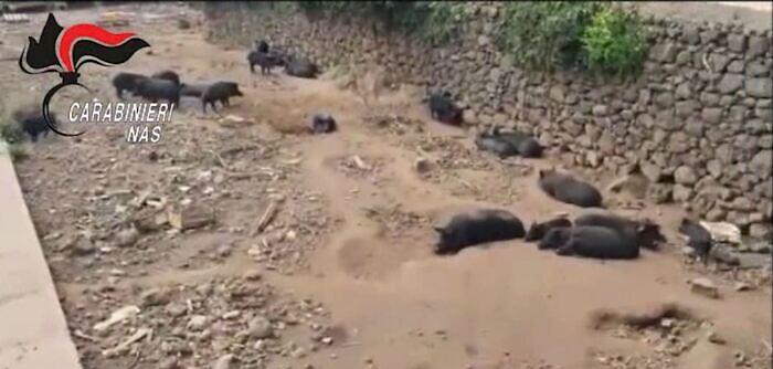 073353395-de7007f7-a6d4-4c20-9aa6-336385393723