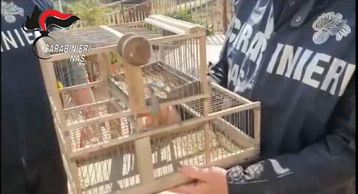 073431899-007345a5-cb18-4940-9f9d-c6853969cdbb