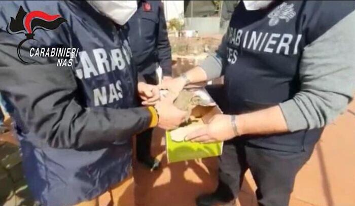 073449607-c0d3a3fa-d4ff-4a95-b186-4ef9037b825f